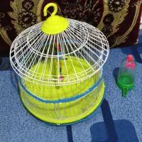 قفس