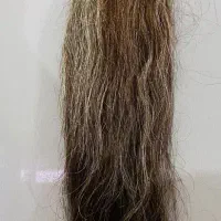 مو کات شده به فروش میرسد