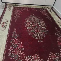 فرش تمیز فقط شستن میخواد