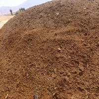 لاس کو گوسفندی