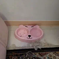 گربه نژاد رایج|گربه|اراک, |دیوار