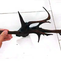 اکواریوم *چراغ اکواریوم*ابنوس*بخاری|ماهی|قم, بکایی|دیوار