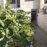 اجاره آپارتمان ۸۹متری غرق در نور