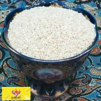 خانمی آشنا به کامپیوتر ورد و اکسل
