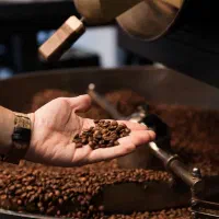 پخش قهوه عمده (رُستری)