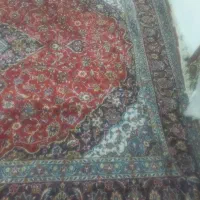 فرش|فرش|نیشابور, میدون بار|دیوار