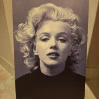 تابلوی چاپی مریلین مونرو قیمت ۶۵۰