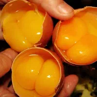 زرده تخم مرغ برای نانوایی ها و قنادی ها با کیفیت