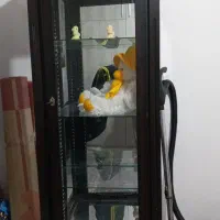 ویترین|بوفه، ویترین، کنسول|رشت, آب و برق|دیوار