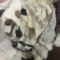 پالتو خارجی|لباس|گرگان, |دیوار