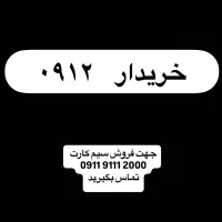 09123309391