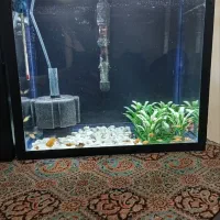 آکواریوم ۴۰در۳۰