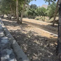 باغ-نقلی