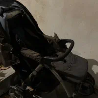 کالسکه|کالسکه و لوازم جانبی|بندرلنگه, |دیوار