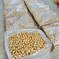 انجیر خشک - استهبان - عمده - انجیر درشت - درجه‌یک