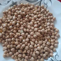 نخود تازه|خوردنی و آشامیدنی|گالیکش, |دیوار