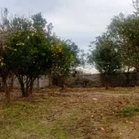 فروش قطعات ۲۰۰ متری در زنگشامحله