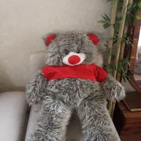 خرس بزرگ
