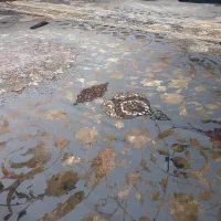 رو فرشی کشی