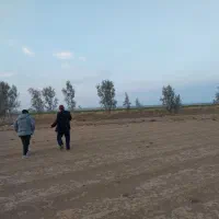 زمین-کشاورزی