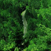 ملک سند دار یولاق معاوضه با واحد آپارتمان