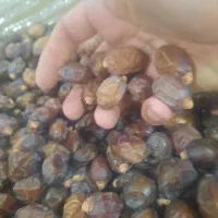 سلام علیکم|عمدهفروشی|گنبد کاووس, |دیوار