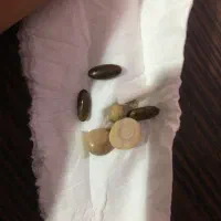 دعای رزق وروزی