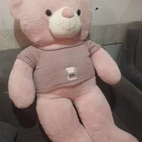 فروش خرس نو