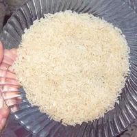 برنج فجر|خوردنی و آشامیدنی|آزادشهر, |دیوار