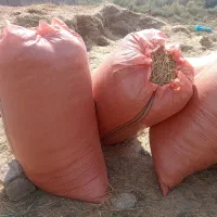کاه