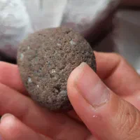 تعدادی سنگ و فسیل قیمتی و تزیینی|کلکسیون اشیاء عتیقه|تهران, والفجر (افسریه)|دیوار