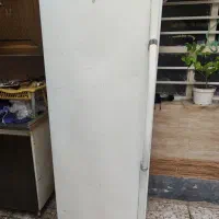 فریزر بادی ایستاده