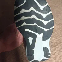 کفش آسیکس اصلی استوک|کیف، کفش، کمربند|شیراز, آزادگان|دیوار