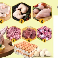 کارگر ساده مرغ فروشی