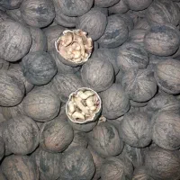 گردو سامان خانگی پوست کاغذی