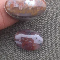 انگشتر شجر همراه نگین|بدلیجات|جیرفت, |دیوار