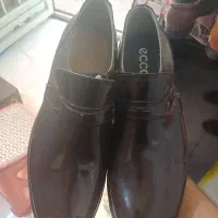 کفش چرم ورنی|کیف، کفش، کمربند|ورامین, ورامین|دیوار