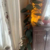 گل طبیعی