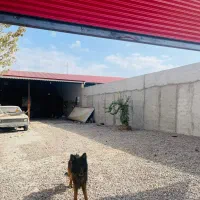 اجاره گاراژ ، کارگاه ، تعمیرگاه|اجارهٔ مغازه و غرفه|رشت, حومه رشت|دیوار