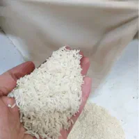 برنج هاشمی گیلان قیمت کشاورز
