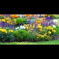 خانه اجاره ای هماشهر