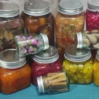 خرفه شور،مخلوط گوجه،سیرترشی