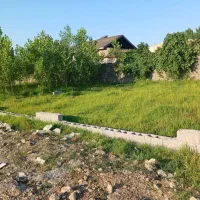 فروش زمین|فروش زمین و ملک کلنگی|رشت, سیا اسطلخ|دیوار