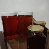عسل ارگانیک و طبیعی