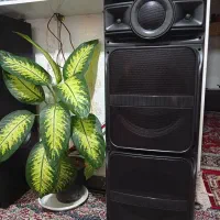 اسپیکر|سیستم صوتی خانگی|رفسنجان, |دیوار