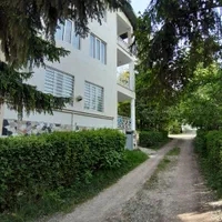 اجاره شبانه جنگلی با میز بیلیارد کلاردشت|اجارهٔ کوتاهمدت آپارتمان و سوئیت|کلاردشت, |دیوار