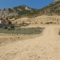 زمین ییلاقی|فروش زمین و ملک کلنگی|پل سفید, |دیوار