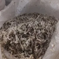 تفاله چغندر|لوازم جانبی حیوانات|مرودشت, بیست متری بیمارستان|دیوار