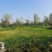 ویلا جنگلی|فروش خانه و ویلا|رشت, بازار|دیوار