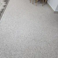 فرش و پالاز موکت|فرش|جم, |دیوار